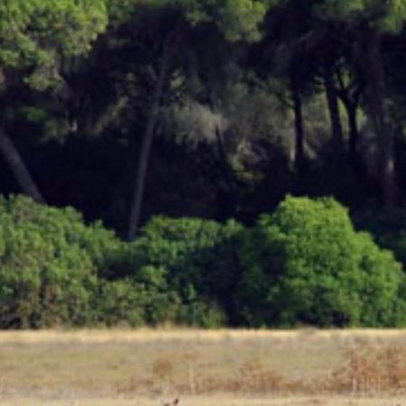 Pequeno Rocio Urbanizacion Privada Villa El Rocío Buitenkant foto